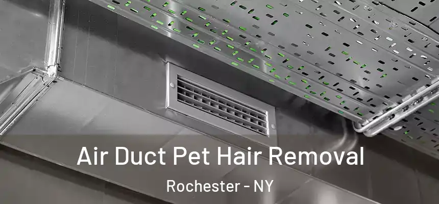 Air Duct Pet Hair Removal Rochester - NY