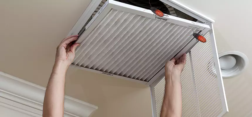 Preventive Cockroach-Proofing for Ducts in Rochester