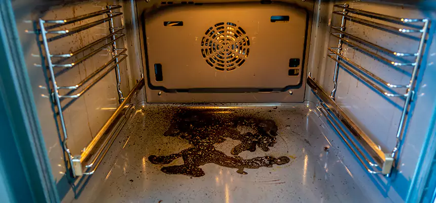 Our Dryer Vent Mold Cleaning Services in Rochester, NY