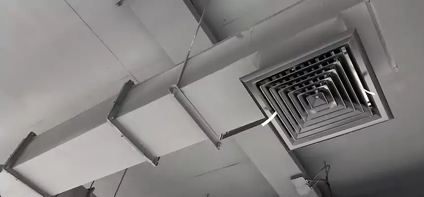 Our Rodent Droppings In Vents Services in Rochester, NY