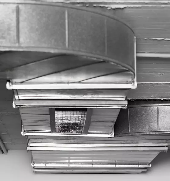 Professional Air Duct Pet Hair Removal in Rochester, NY