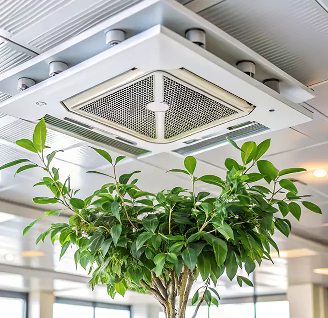 Why Homeowners & Businesses Trust Us in Rochester, NY?