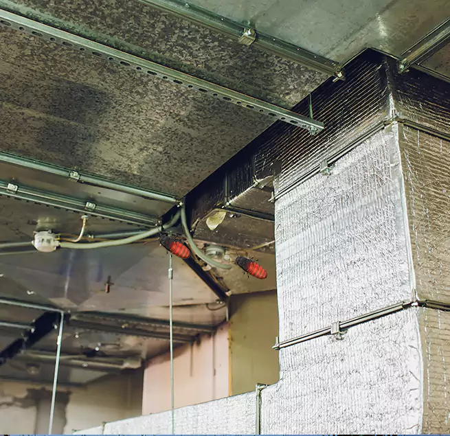 Why Homeowners & Businesses Trust Us Rochester, NY?